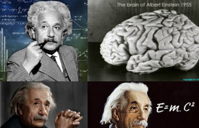 “Honey, where have I put Einstein’s Brain?”