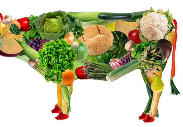 What to Know About Veganism and Vegan Diets?
